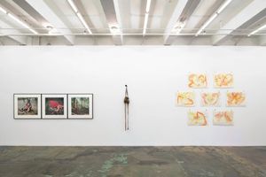 Group Exhibition
