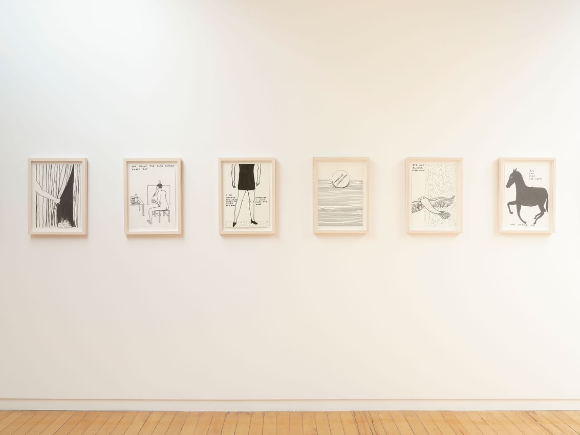 David Shrigley
