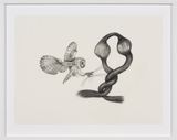 Inseparable Barn Owl by Patricia Piccinini contemporary artwork drawing works on paper