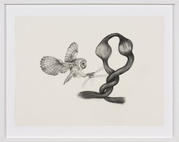 Inseparable Barn Owl by Patricia Piccinini contemporary artwork drawing works on paper