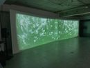 Haze by Gil Kuno contemporary artwork Moving Image
