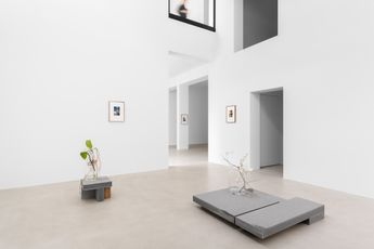 Contemporary art exhibition Danh Vo Danh Vo at Xavier Hufkens St-Georges Belgium