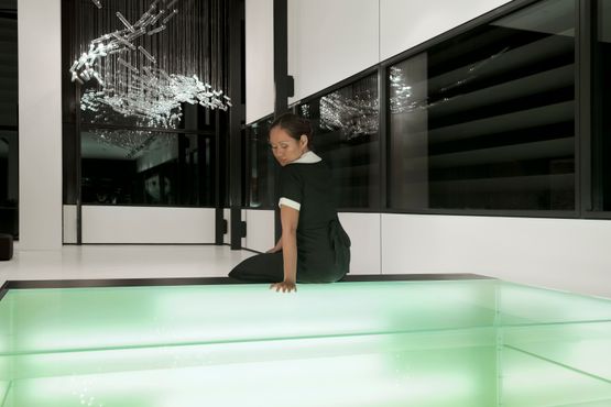 THE MAID  REFLECTIONS by Isaac Julien contemporary artwork Photography