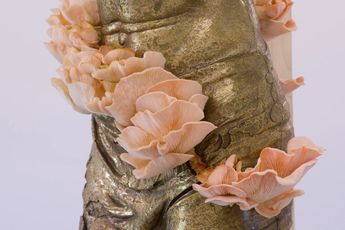 Contemporary art exhibition Danh Vo Danh Vo at White Cube New York United States