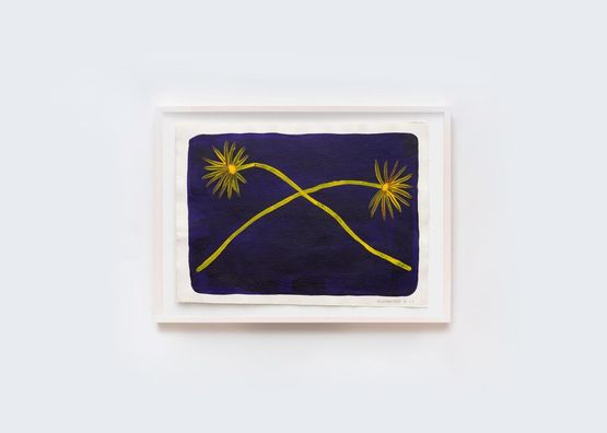Thapiri frare frare I Sueno amarillo I by Sheroanawe Hakihiiwe contemporary artwork Works on Paper