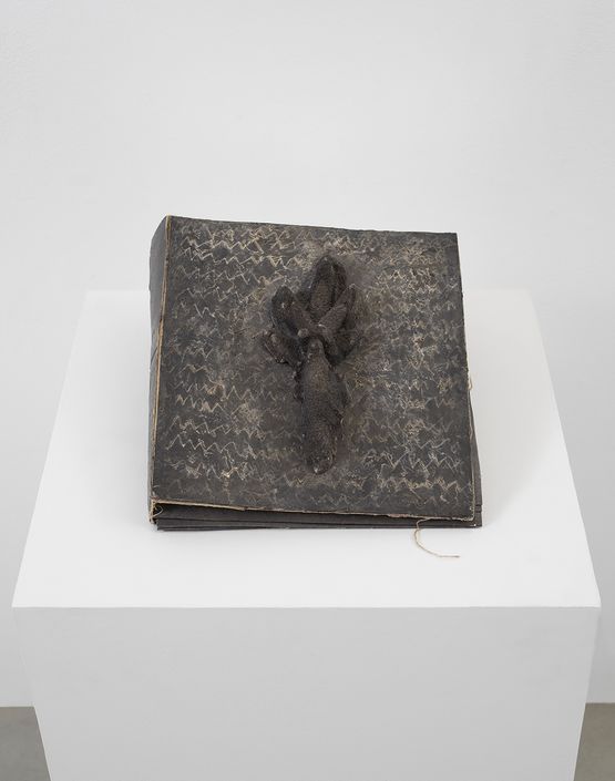 Logbook for Lost Horizons by Michelle Stuart contemporary artwork Sculpture