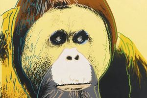 Andy Warhol