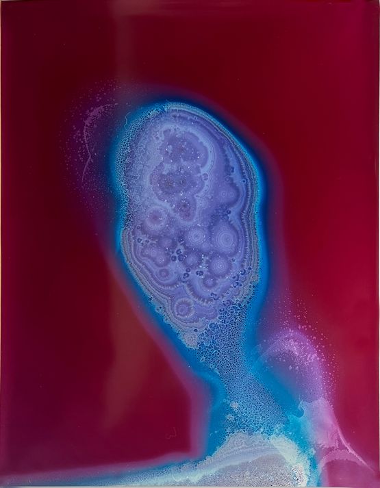 Adrenalin  Dopamin by Sarah Ancelle Schonfeld contemporary artwork Photography
