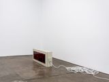 Four degrees warmer by Alicia Frankovich contemporary artwork installation