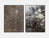 Untitled plant by Ailbhe Ni Bhriain contemporary artwork print sculpture