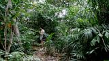 Unfounded intimacies by Moses Tan contemporary artwork moving image