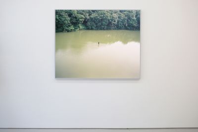 Thirteen Artists Interpret Force Majeure in New York