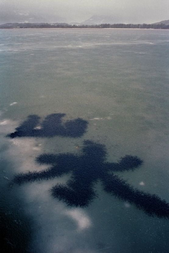 Landscape lnk lce 1 Landscape Art Germany by Dai Guangyu contemporary artwork Photography