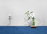 Untitled by Dominique Gonzalez-Foerster contemporary artwork design