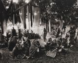 India The Great Elephant Festival The River Gandak by Don Mccullin contemporary artwork photography