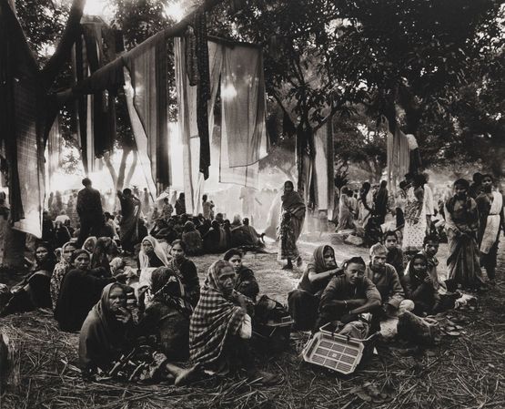 India The Great Elephant Festival The River Gandak by Don Mccullin contemporary artwork Photography
