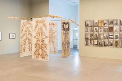 Dubai Exhibitions to See Spring  2024