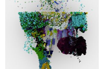 Tim Berresheim contemporary artist