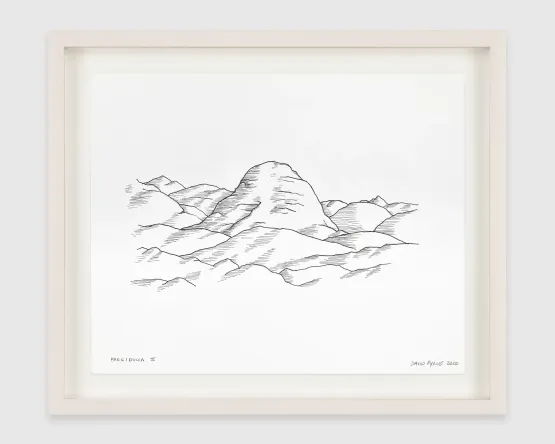 Pareidolia II by David Byrne contemporary artwork Works on Paper
