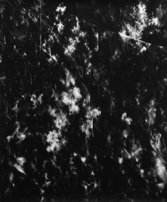 Nocturne II by Julia Steiner contemporary artwork Works on Paper