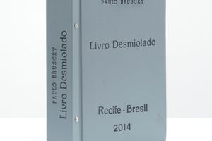 Paulo Bruscky