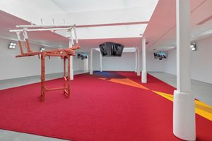 Matthew Barney