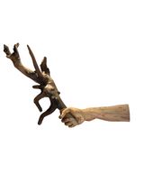 A flame of the forest A series of an observer by Prabhakar Pachpute contemporary artwork sculpture