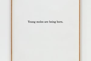 Marcus Coates