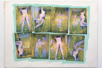 Carolee Schneemann contemporary artist