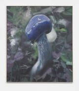 Mushroom 3 Purple cap by Craig Boagey contemporary artwork painting