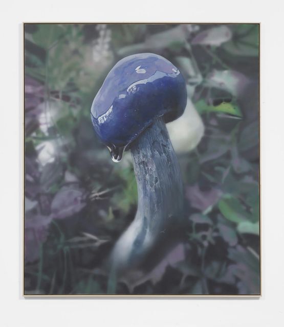 Mushroom 3 Purple cap by Craig Boagey contemporary artwork Painting