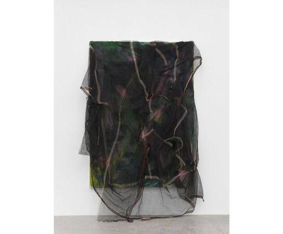 Untitled by David Hammons contemporary artwork Painting