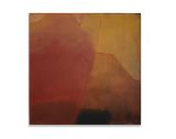 Umber Veil by Richard Hearns contemporary artwork painting