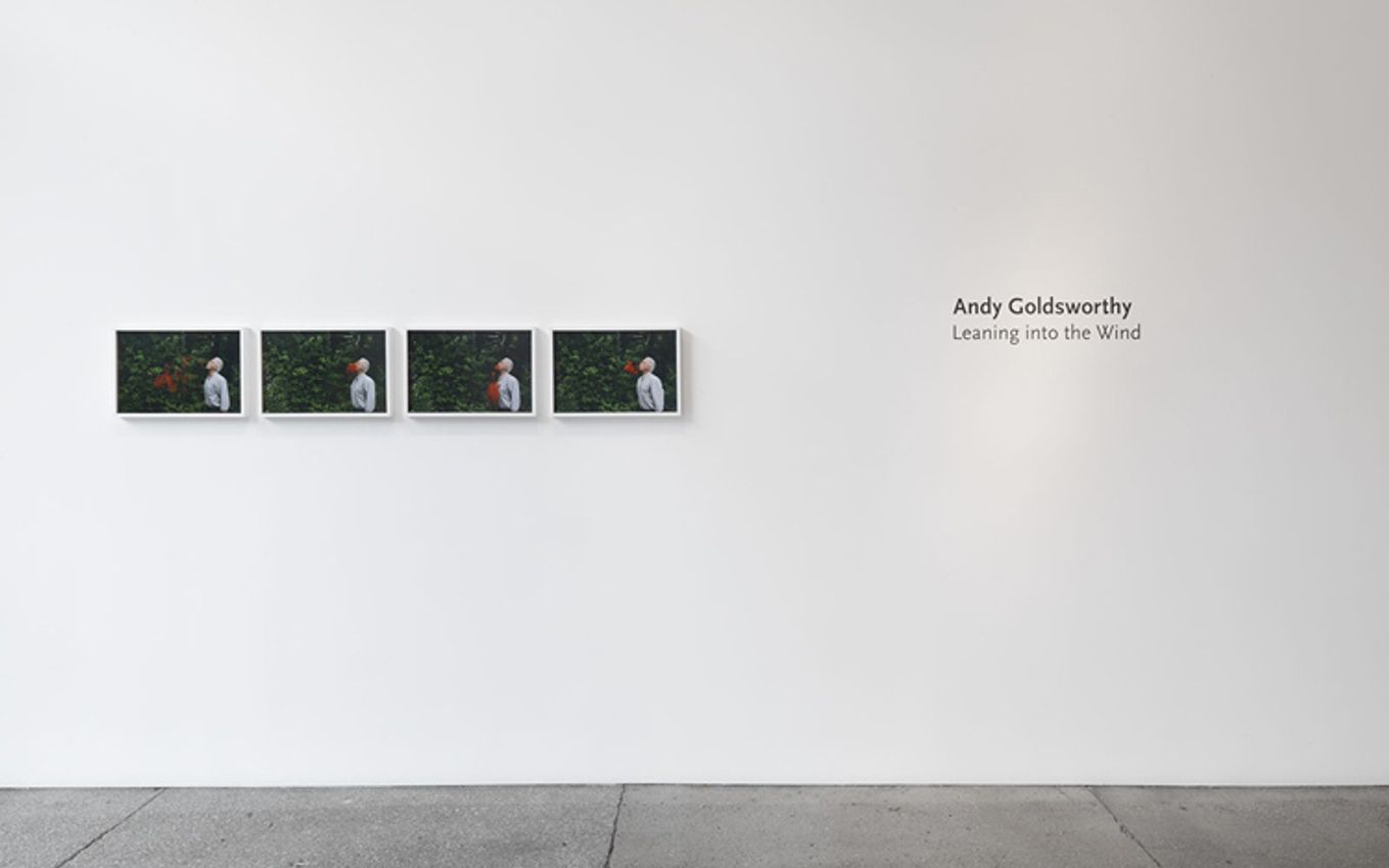 Andy Goldsworthy