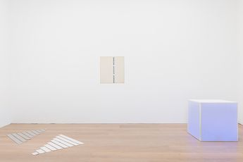 Contemporary art exhibition Guy Mees Solo Exhibition at David Zwirner London United Kingdom