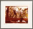 Hollywood Window by David Hockney contemporary artwork Photography