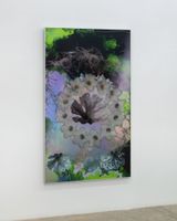 Nymphoides Indica Hexactinellida free float by Marian Tubbs contemporary artwork mixed media photography