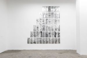 Chen Xiaoyi