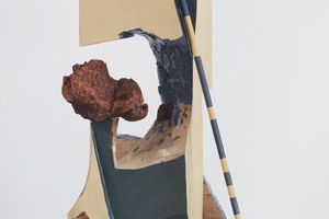 Arlene Shechet