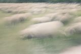 Untitled by Kuba Freter contemporary artwork print