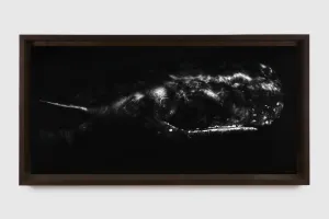 Robert Longo
