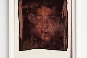 Fiona Clark