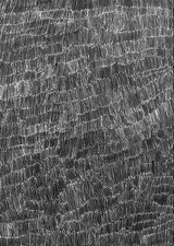 Birrkamirri 13 by Nyapanyapa Yunupiu contemporary artwork mixed media