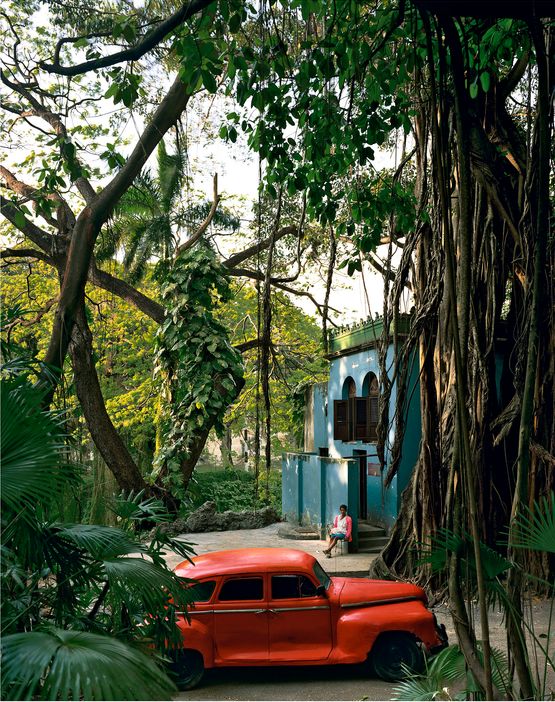 Rosa en Tropical Cuba by Andrew Moore contemporary artwork Photography