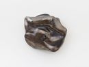 Cruising by Luiz Roque contemporary artwork Sculpture