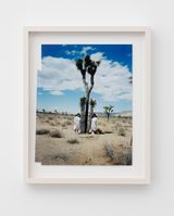 joshua treela2018 by Fumiko Imano contemporary artwork photography