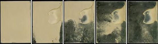 Star City-Material 1 by Wang Youshen contemporary artwork Photography