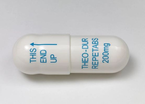 Theo-Dur Repetabs 200mg by Damien Hirst contemporary artwork Painting