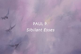 Contemporary art exhibition Paul P. Sibilant Esses at Greene Naftali New York United States