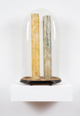 101 Insect Life Stories No 52 Mr. Ponderosas Logs by John Wolseley contemporary artwork sculpture